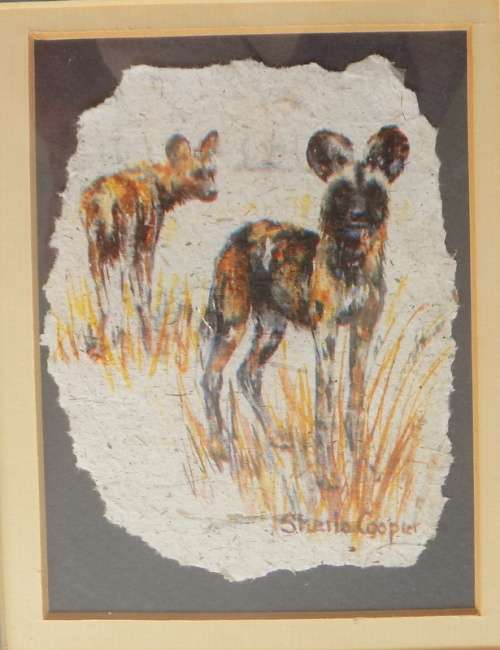 Wild Dog - Framed print by artist Sheila Cooper - Scarab Paper - Framed size 19x22.5cm
