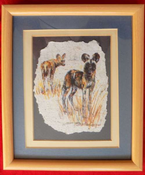 Wild Dog - Framed print by artist Sheila Cooper - Scarab Paper - Framed size 19x22.5cm