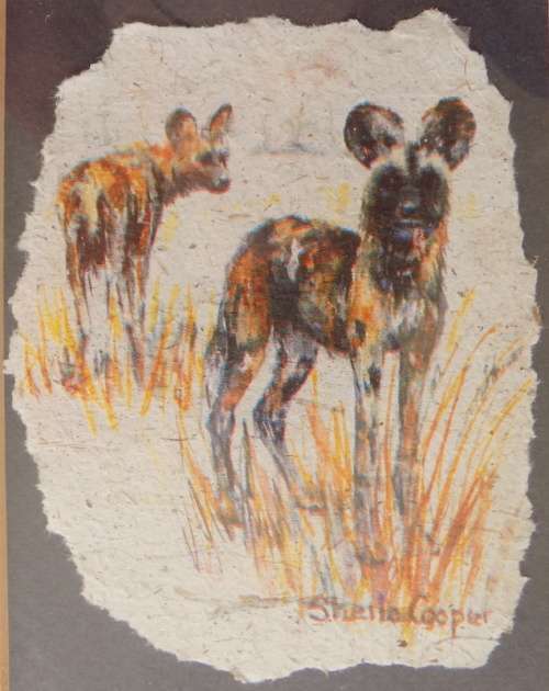 Wild Dog - Framed print by artist Sheila Cooper - Scarab Paper - Framed size 19x22.5cm