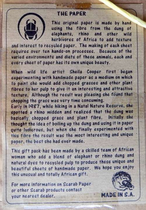 Wild Dog - Framed print by artist Sheila Cooper - Scarab Paper - Framed size 19x22.5cm