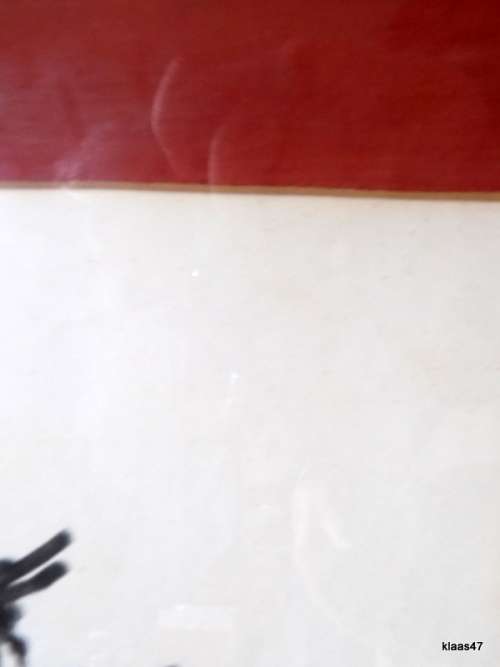 Don Quixote Sancho Panza - Pablo Picasso - Framed Print - Framed size 45x56cm - Picture 33x43cm