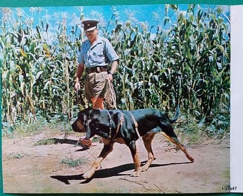 British South Africa Police, Rhodesia - Greetings Card - 11 DEC 1974 - P.T.C. Serv and Sales Manager