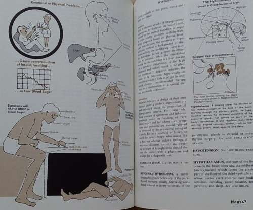 Fishbein`s Illustrated Medical and Health Encyclopedia (Family Health Guide Edition)