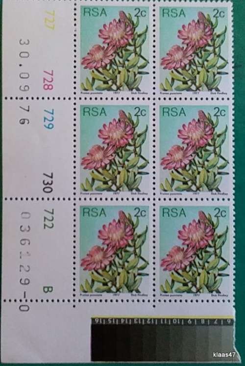 RSA - 1977 - Protea Definitive - Block of 6 Unused 2c stamps
