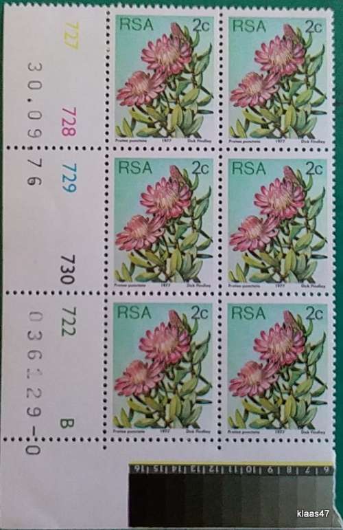 RSA - 1977 - Protea Definitive - Block of 6 Unused 2c stamps
