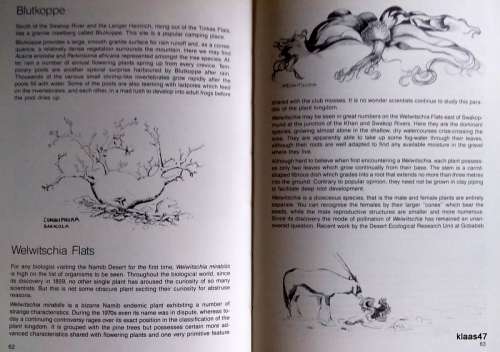 Namib - Mary Seely - Hardcover (Natural History of an Ancient Desert)