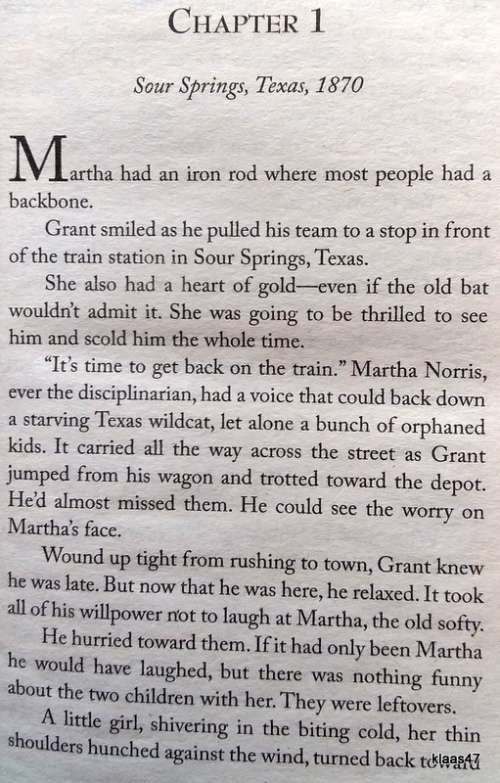 Gingham Mountain - Mary Connealy - Paperback