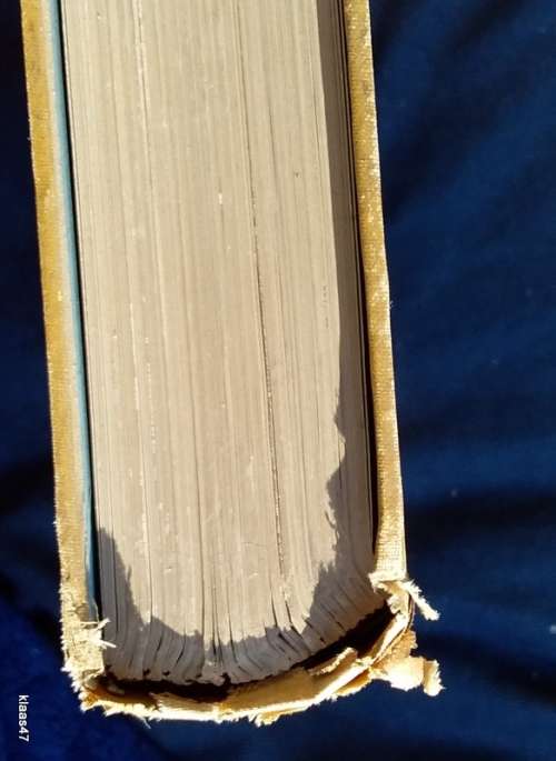 Gulliver`s Travels and Voyages to the Remote Parts of the World - Jonathan Swift - Hardcover Undated