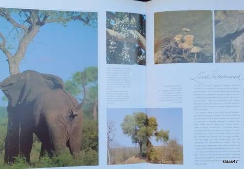 Spirit of the Bush - Malcolm and Paul Funston (Text: Peter Borchert) - Hardcover