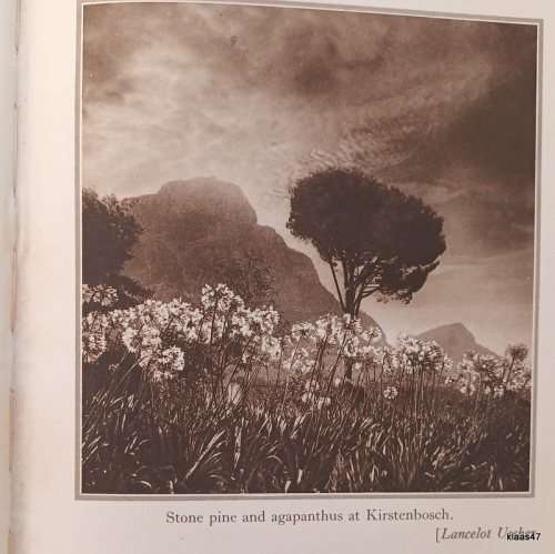 The Pilgrims` Way in South Afrcia - Dorothea Fairbridge - Hardcover 1928