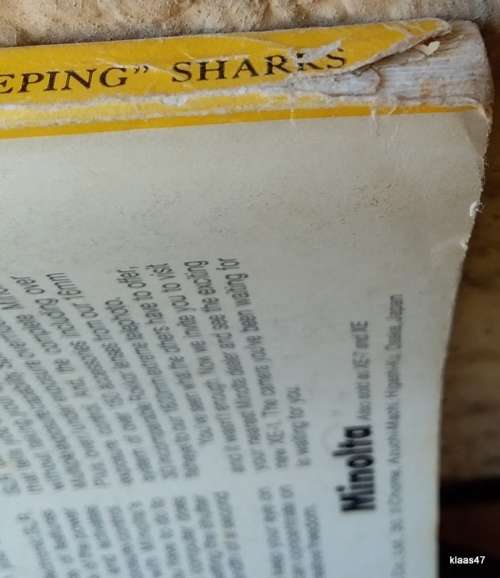 National Geographic Magazine - Diving Amid Sleeping Sharks - Vol 147 No.4 April 1975