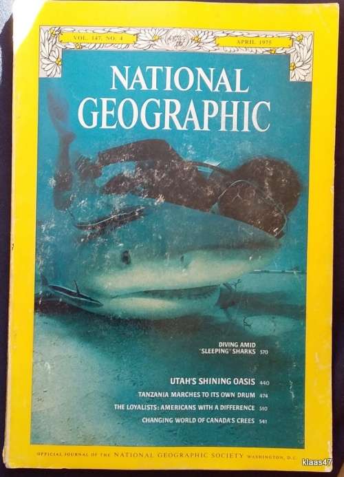 National Geographic Magazine - Diving Amid Sleeping Sharks - Vol 147 No.4 April 1975