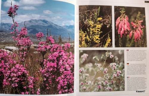 Beautiful Wild Flowers of Southern Africa - English/German/French - Softcover 1996