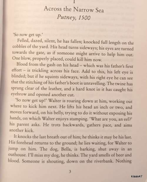 Wolf Hall - Hilary Mantel - Paperback (Backdrop to the rise of Thomas Cromwell)