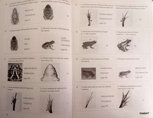 South African Frogs - A complete Guide - NI Passmore VC Carruthers - Hardcover (Revised Edition)