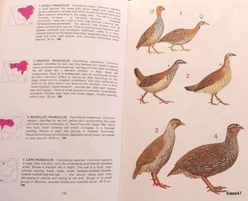 Newman`s Birds of Southern Africa - Kenneth Newman - Hardcover 1983