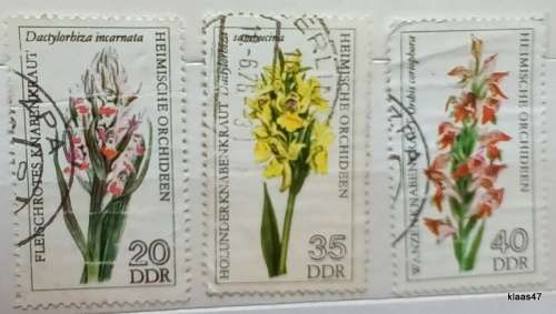 Germany - DDR - 1976 - Flowers/Orchids - 3 Used stamps (poor quality)