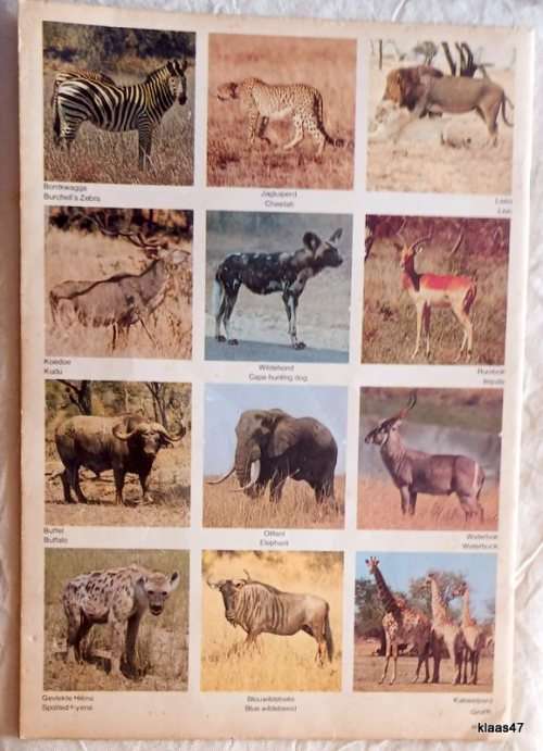 Nasionale Krugerwildtuin Inkleurboek / Kruger National Park Colouring Book (Not Used)
