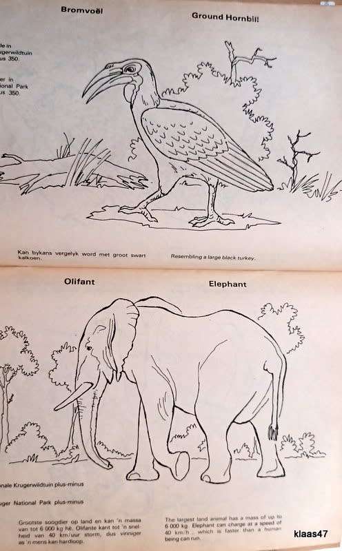 Nasionale Krugerwildtuin Inkleurboek / Kruger National Park Colouring Book (Not Used)