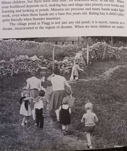 The English (The Countryside and its People) - Michael Watkins - Hardcover