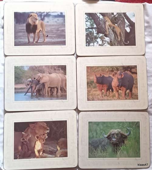 Boxed Set of Six Cork backed Table Mats of The Big 5 by Art Publishers
