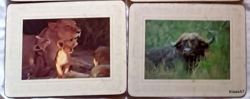 Boxed Set of Six Cork backed Table Mats of The Big 5 by Art Publishers