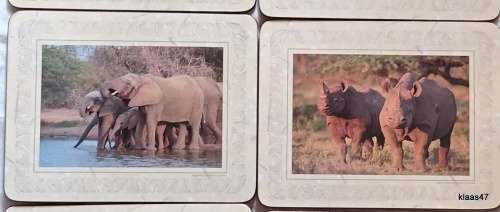 Boxed Set of Six Cork backed Table Mats of The Big 5 by Art Publishers