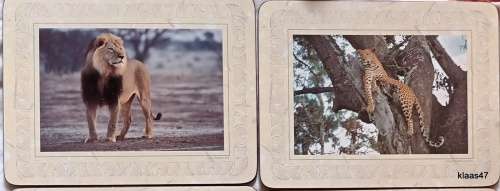 Boxed Set of Six Cork backed Table Mats of The Big 5 by Art Publishers