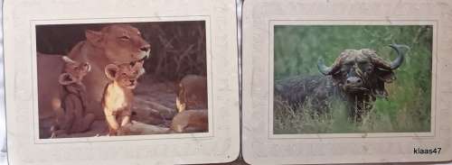 Boxed Set of Six Cork backed Table Mats of The Big 5 by Art Publishers