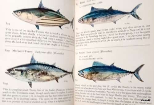 Fishes of the Tsitsikama Coastal National Park - J L B Smith and Margaret M Smith - Paperback