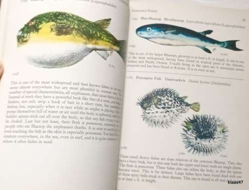 Fishes of the Tsitsikama Coastal National Park - J L B Smith and Margaret M Smith - Paperback