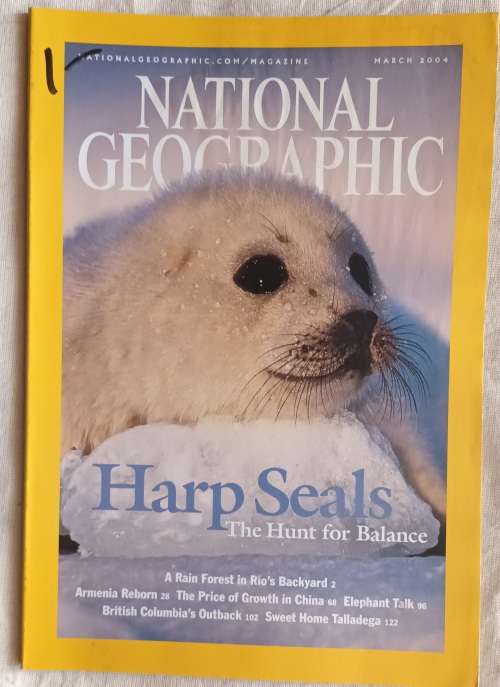 National Geographic - March 2004 - Harp Seals
