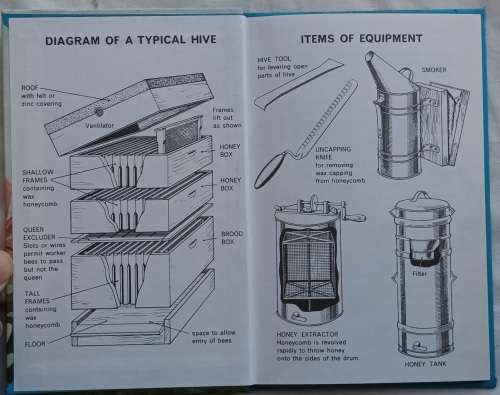 Life of the Honey-bee - A Ladybird Natural History Book - Hardcover