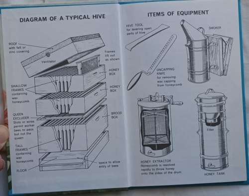 Life of the Honey-bee - A Ladybird Natural History Book - Hardcover