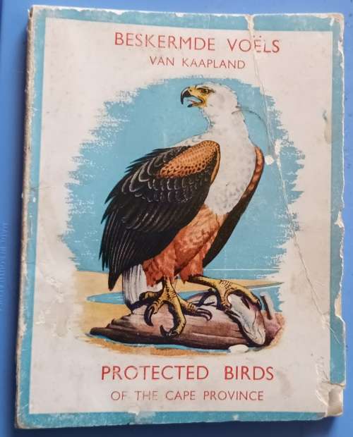 Beskermde Voels van Kaapland / Protected Birds of Cape Province - Paperback