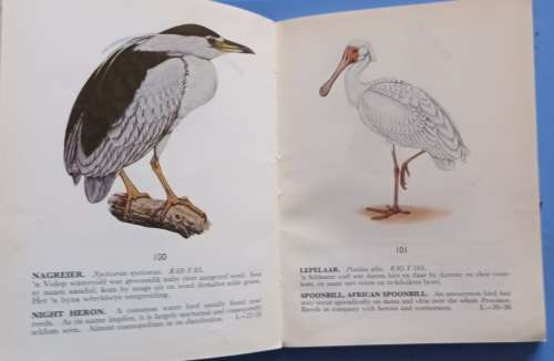 Beskermde Voels van Kaapland / Protected Birds of Cape Province - Paperback