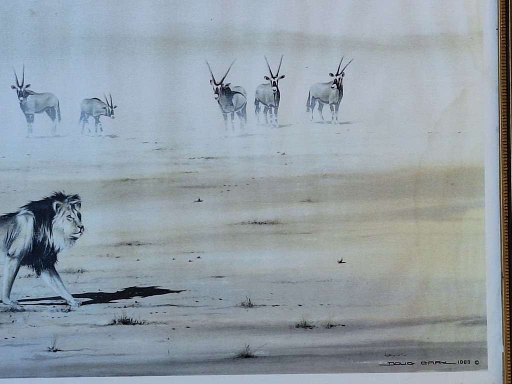 Framed Print of Lion by Doug Gray 1989