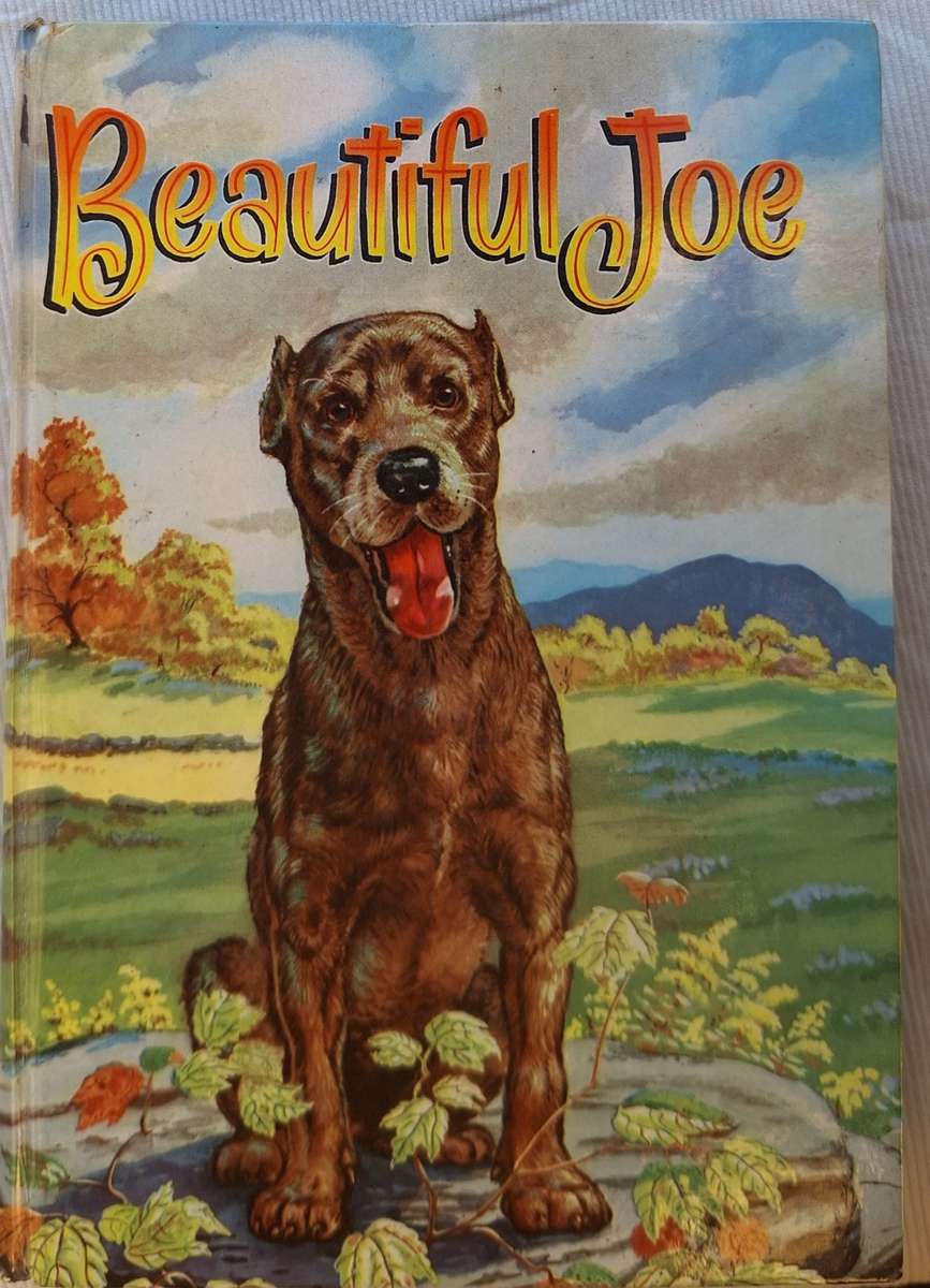 Beautiful Joe by Marshall Saunders Hardcover
