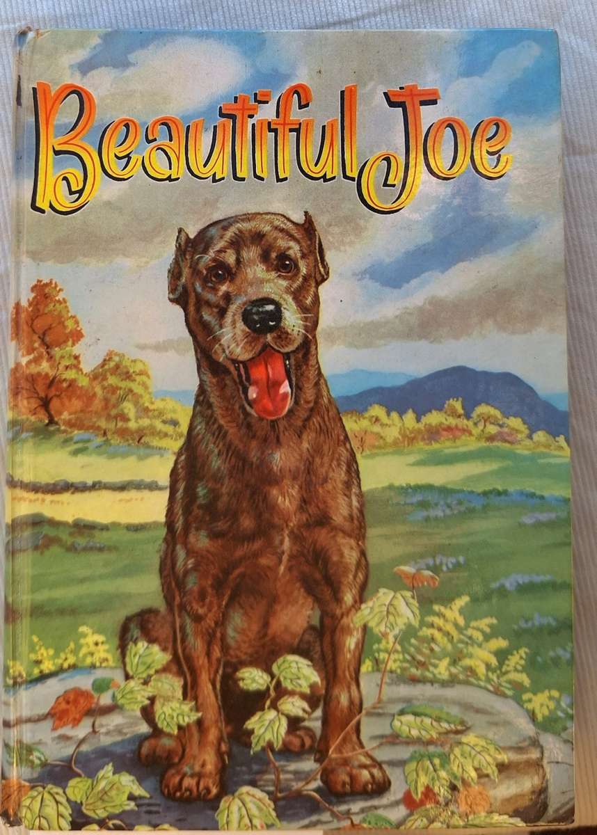 Beautiful Joe by Marshall Saunders Hardcover