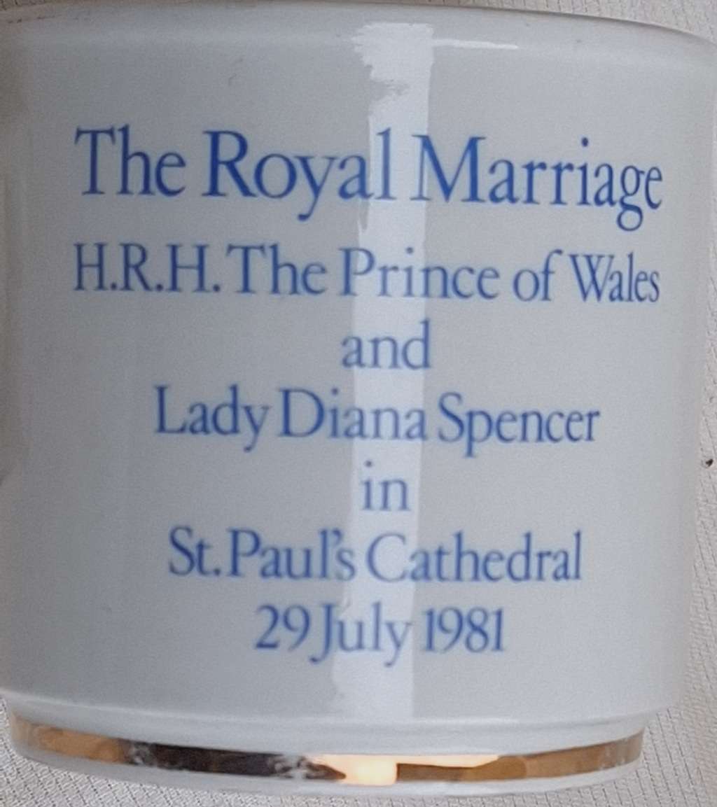 Royal Wedding 29th July 1981 Prince Charles & Lady Diana Spencer Mug by Wood & Sons England