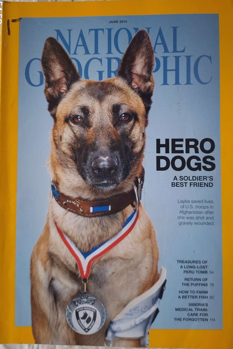 National Geographic June 2014 Hero Dogs: A Soldier's Best Friend