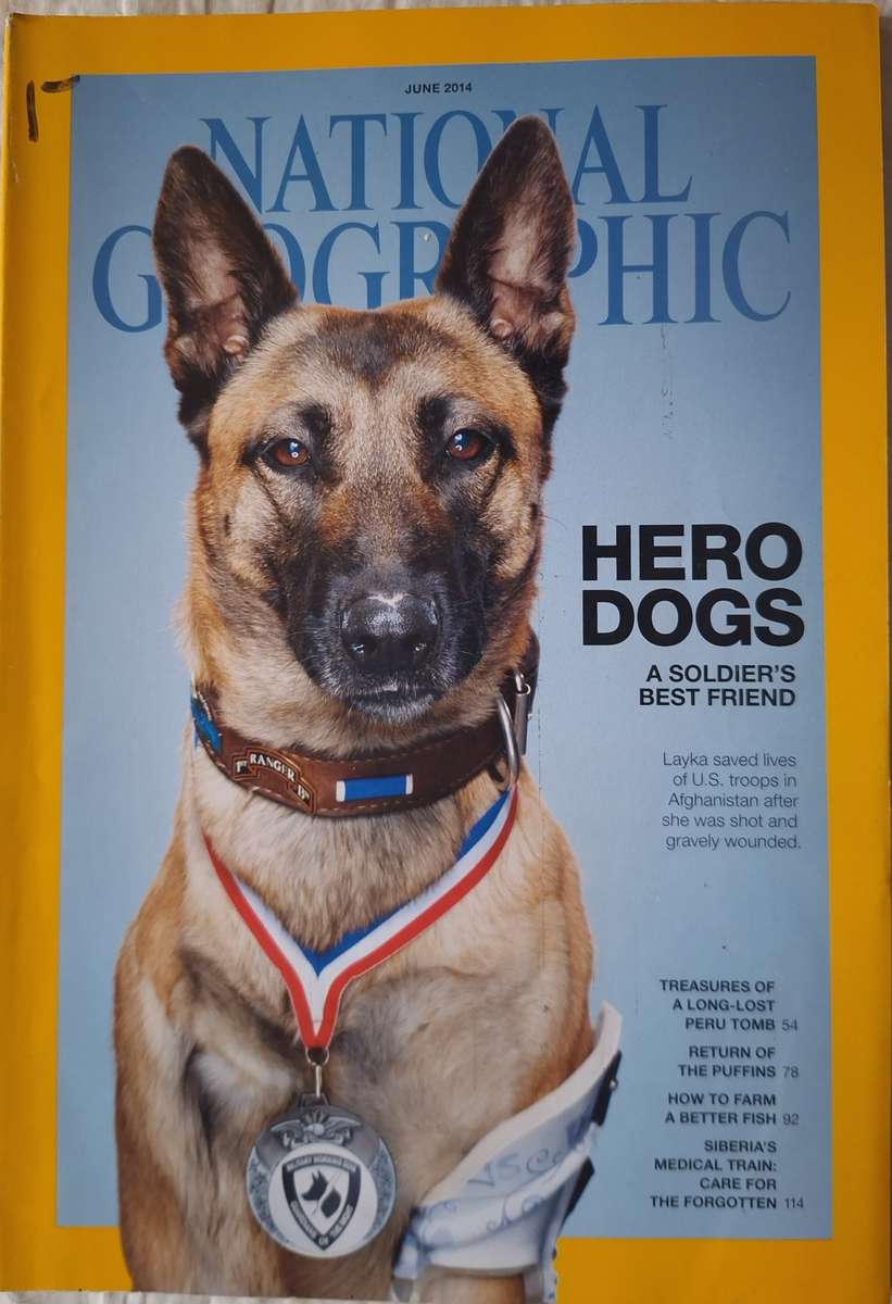 National Geographic June 2014 Hero Dogs: A Soldier's Best Friend