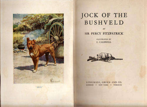 JOCK OF THE BUSVELD  BY SIR PERCY  FITZPATRICK    NO DUSTCOVER DUNG BEETLE PUSHING  FRONT LEGS