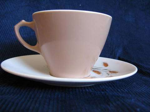 MELAMINE WARE : "EILEEN" : CUP & SAUCER