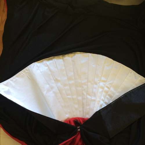 Full length Dracula Cape with Stand up Collar