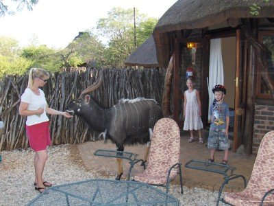 PRIVATE SCHOOL HOLIDAY OCTOBER BREAK - 7 nights at Sondela Nature Reserve for 6