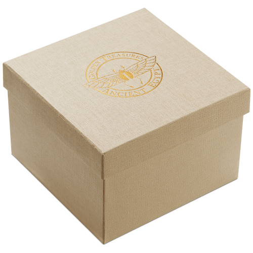 2019 Golden Treasures of Ancient Egypt 2oz SILVER ANTIQUED COIN