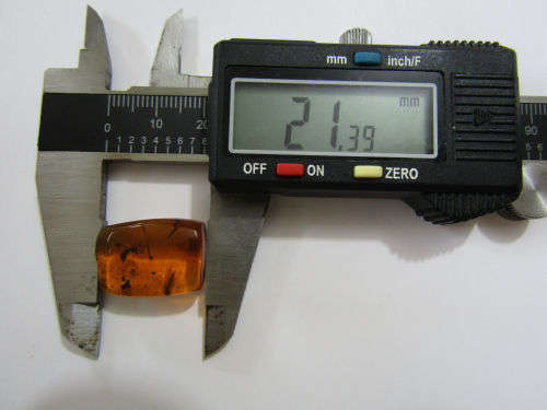 Authentic Insect Amber No.20212