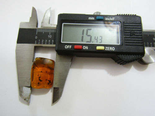Authentic Insect Amber No.20212