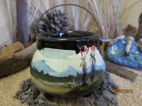 Tourist potjie. Aloes and mountain